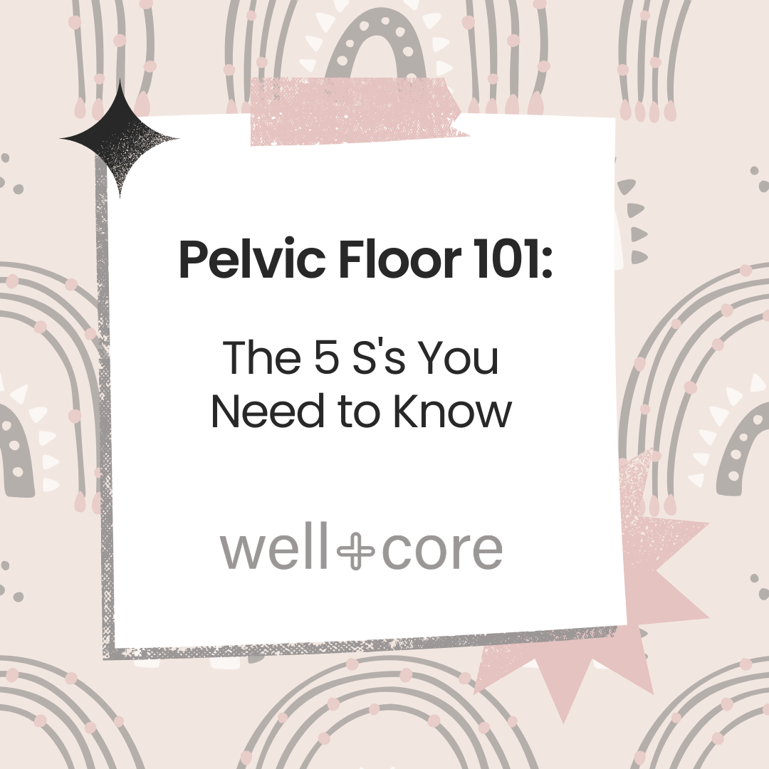 Pelvic Floor 101: The 5 S's You Need To Know – Well+core Physical Therapy