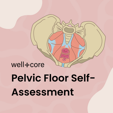 Pelvic Floor Self-Assessment Mini-Course
