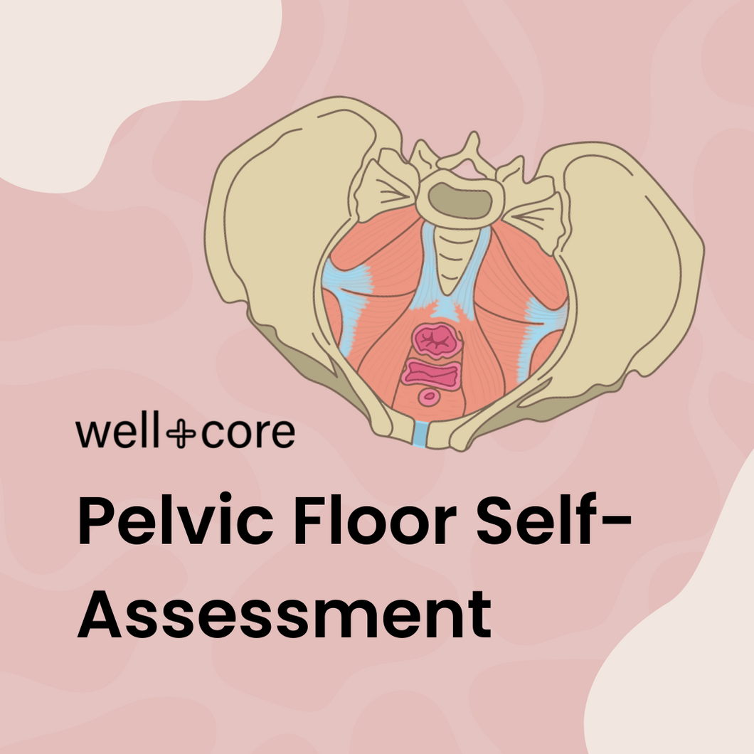 Pelvic Floor Self-Assessment Mini-Course